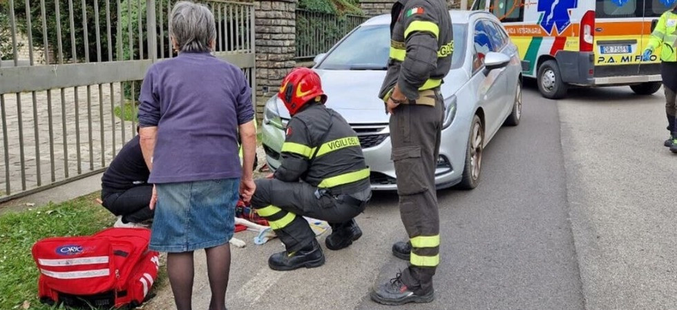 Il cagnolino Oscar scappa dal padrone ma viene investito da un'auto: intervengono i vigili del fuoco che lo salvano