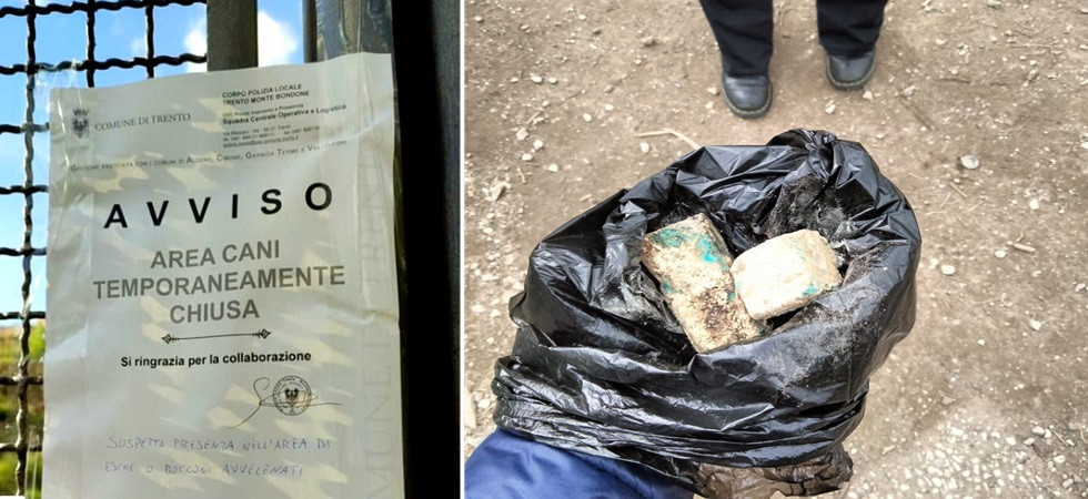 Bocconi avvelenati nell'area cani, l'allarme finisce in Consiglio comunale