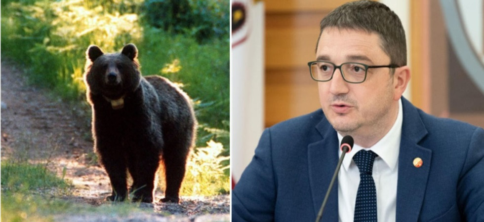 "Legge ammazza-orsi", il Governo non impugna la norma di Fugatti