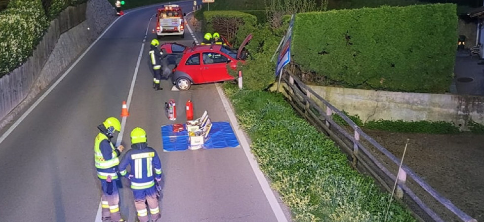 Perde il controllo del mezzo e l'auto abbatte un cartello stradale finendo in una siepe: soccorsi in azione