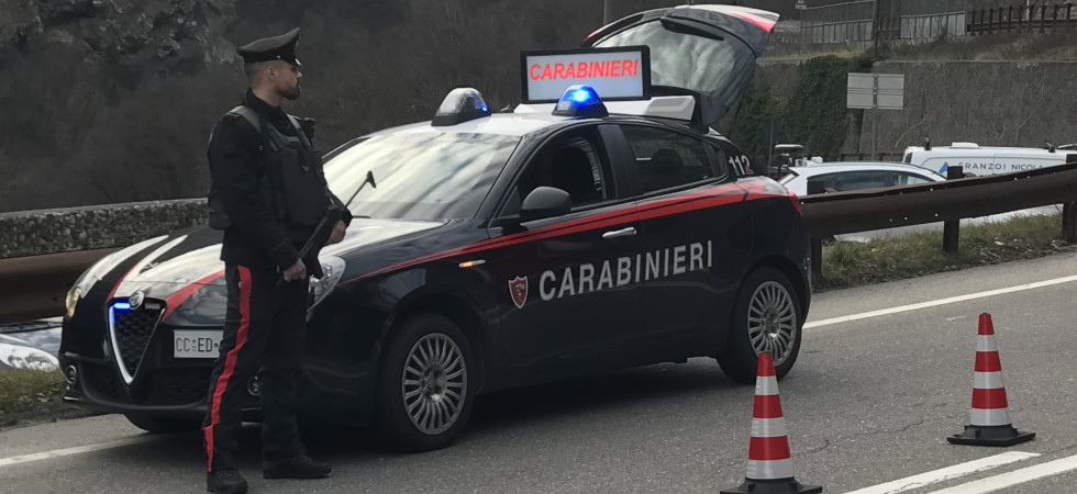 Sul sedile del passeggero una piantina di cannabis (e altre due sono state trovate nel giardino di casa): denunciata