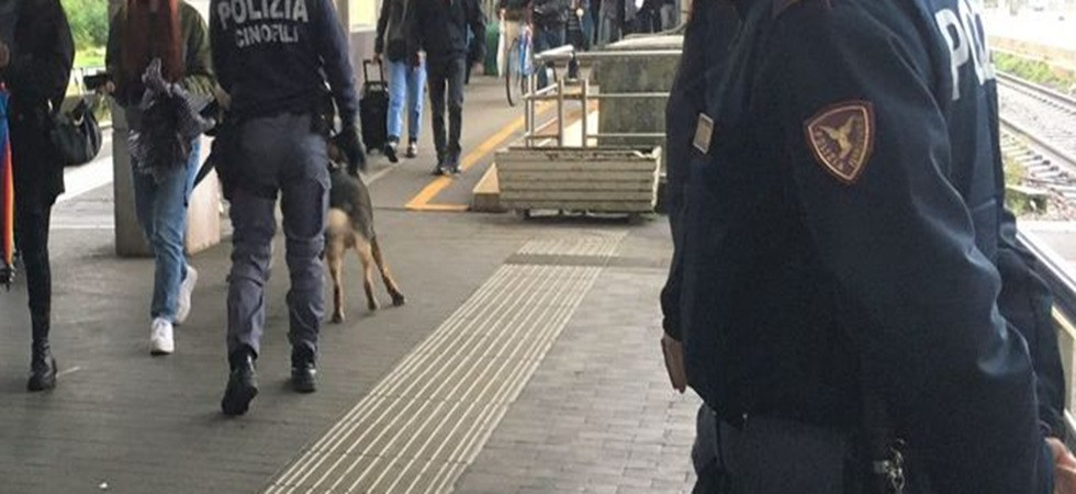 Rompe i vetri delle auto per rubare gli oggetti interni e poi si scaglia con un martello contro i poliziotti