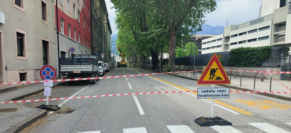 Via Romagnosi chiusa al traffico: in corso le operazioni di rimozione dei rami pericolanti dalle piante