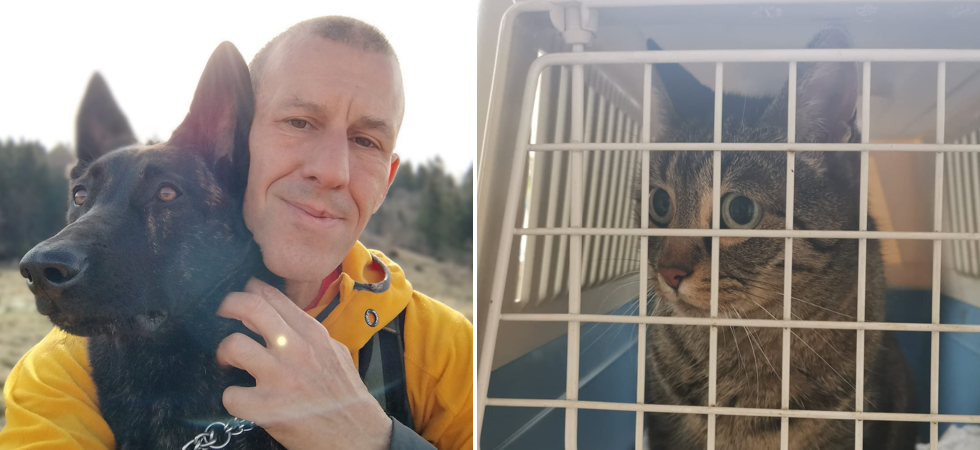 "Scappata a causa del temporale", la gattina Maya è stata ritrovata dopo diversi giorni in un posto "inaspettato"