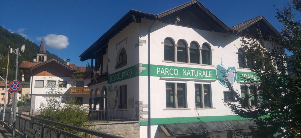 Il Parco naturale Adamello Brenta cerca personale