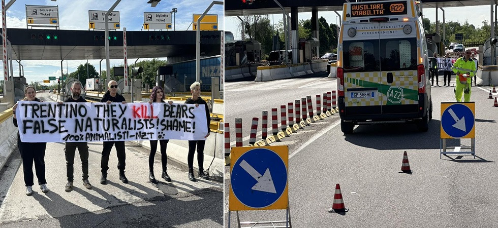 Blitz degli animalisti contro il Trentino: bloccata una corsia d'entrata al casello dell'A22
