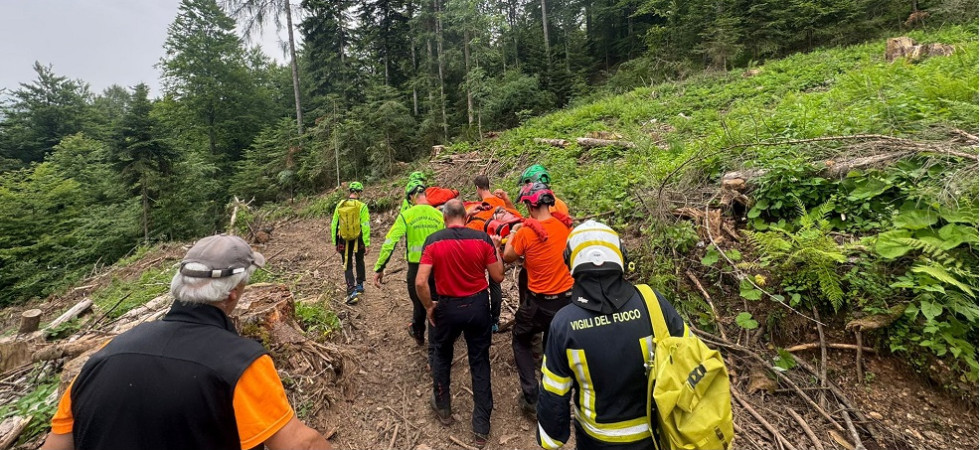 Infortunio in un cantiere boschivo, scivola sul pendio e ruzzola contro un tronco
