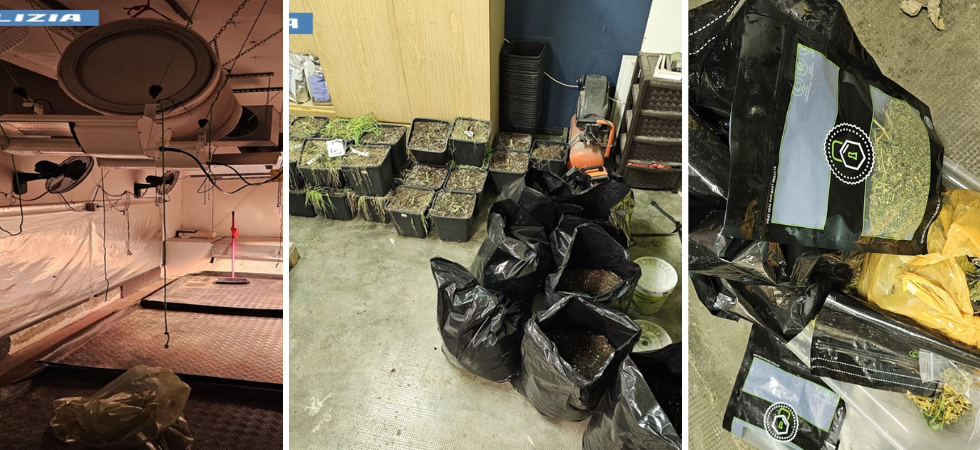 Coltiva decine di piante di marijuana nel suo magazzino in città per poi vendere sostanze stupefacenti: denunciato un 42enne