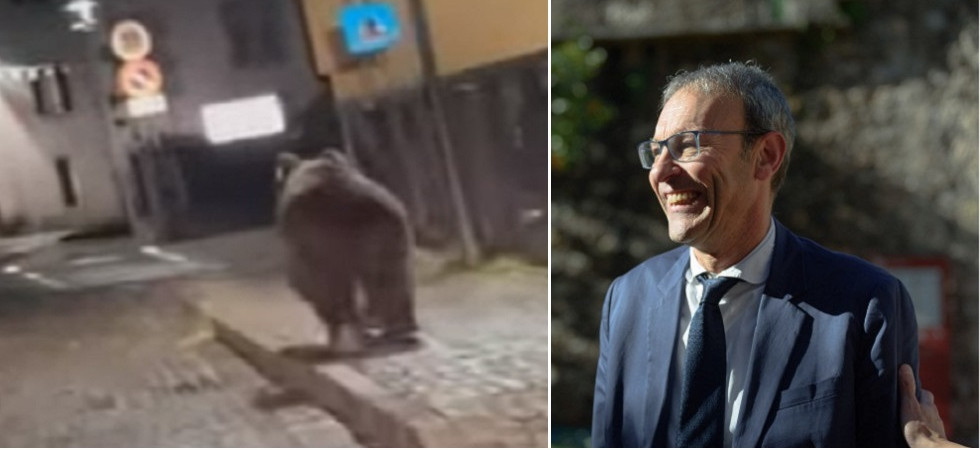 Orso in centro a Malè, Non si esclude la cattura per mettergli il radiocollare, Failoni: Lo spray?