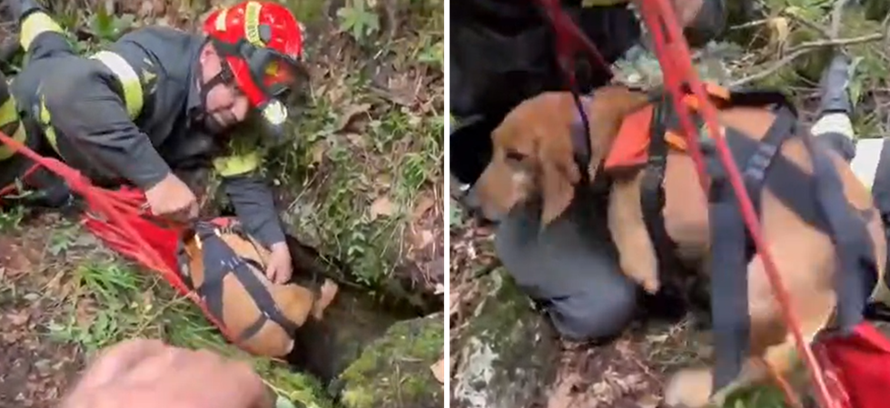 La cagnolina scivola in una fessura e precipita a sei metri di profondità