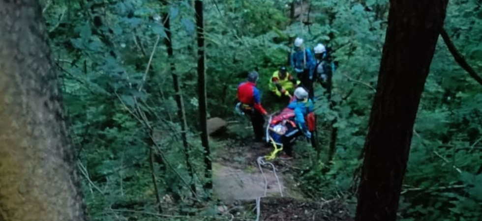 Travolto da un tronco, grave incidente nel bosco: un uomo elitrasportato d'urgenza in ospedale