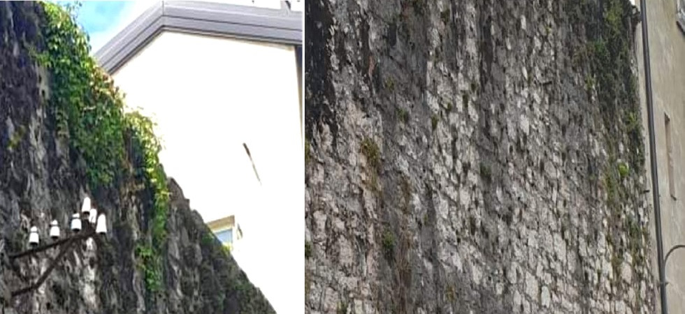 "Erbacce e macchie nere di muffa stanno rovinando le mura duecentesche di Trento"
