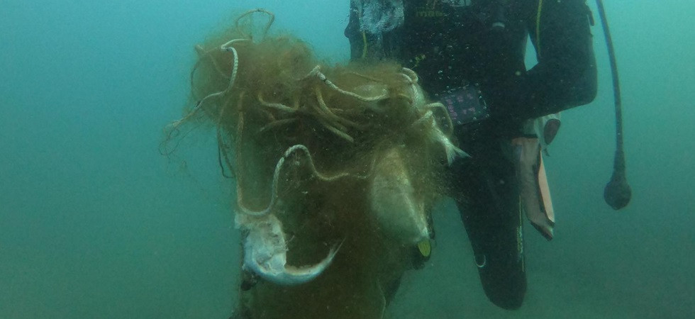 Tagliano i galleggianti per affondarle, sul Garda il fenomeno delle 'pirati' a caccia delle reti dei bracconieri