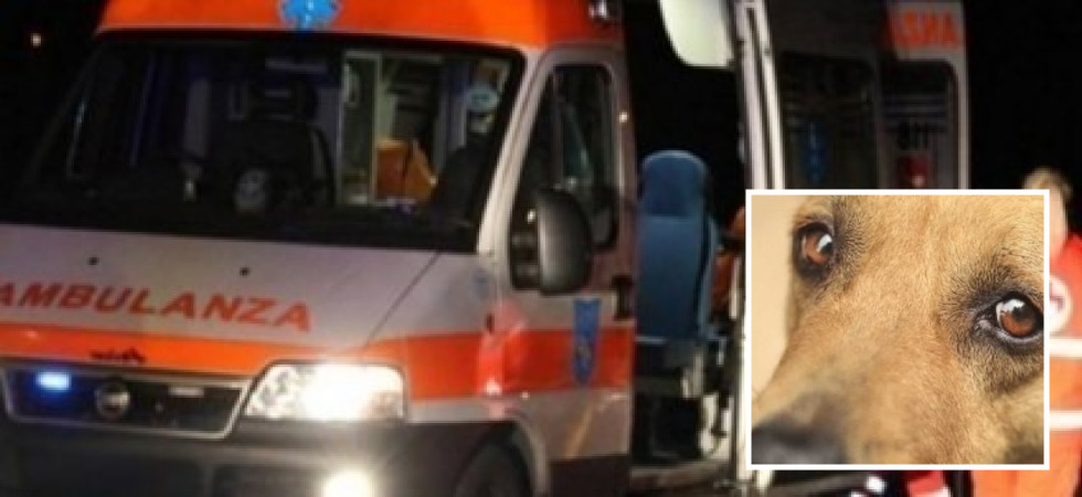 Prima si azzuffano i cani, poi scatta la lite fra i proprietari (che finiscono per picchiarsi)