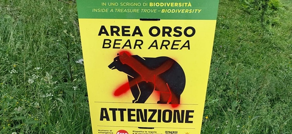 Una croce rossa sull'immagine dell'orso nei cartelli dalla Pat: "Grido di esasperazione dei valligiani"