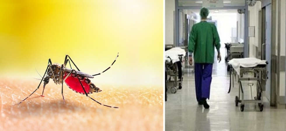 Contagiato dal virus Zika, un uomo è stato ricoverato in rianimazione all'ospedale di Bassano