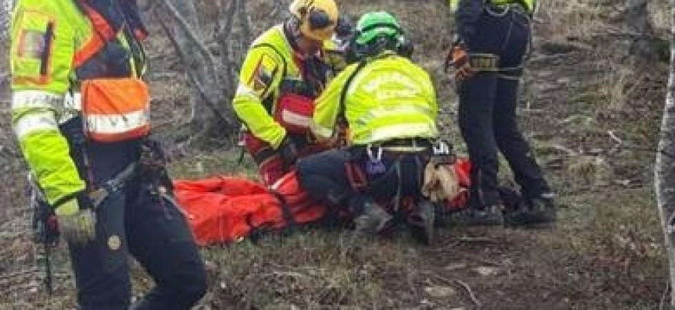Colpito al torace e alle gambe da una pianta, grave incidente sul lavoro nel bosco: 63enne portato in elicottero all'ospedale