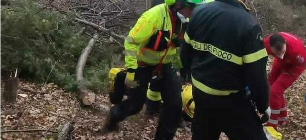 Fungaiolo trovato morto nei boschi della Val Rendena: la vittima è il 64enne Alberto Berardi