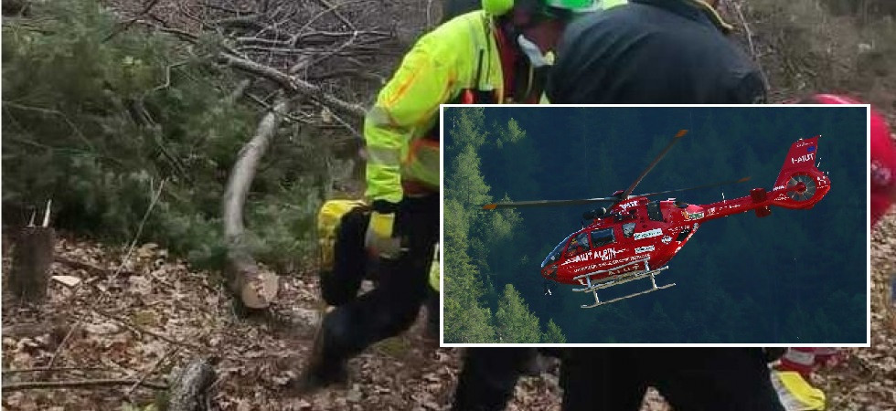 Travolto da un tronco mentre lavora nel bosco, 79enne elitrasportato all'ospedale