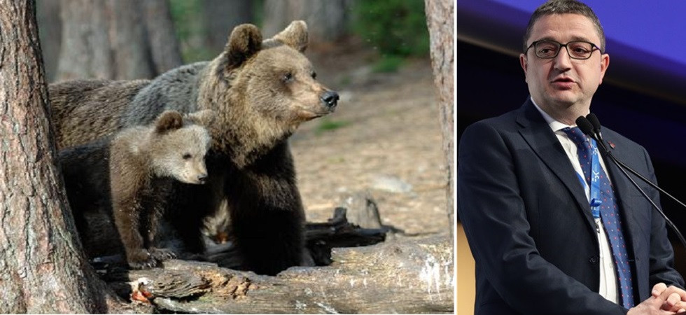"Che fine hanno fatto i cuccioli di KJ1" l'intervento della Lav contro la Provincia