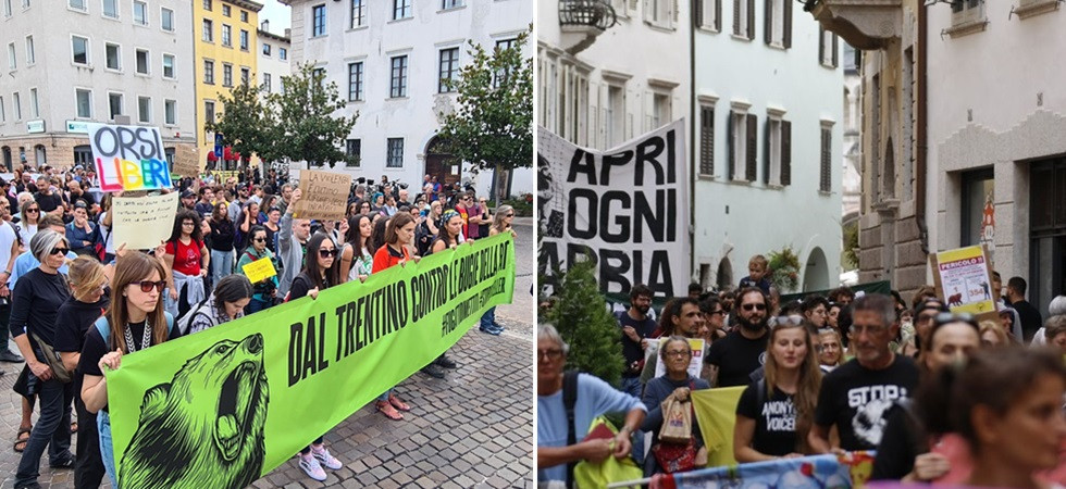 Orsi, la protesta a Trento: “La gestione ritorni a livello nazionale