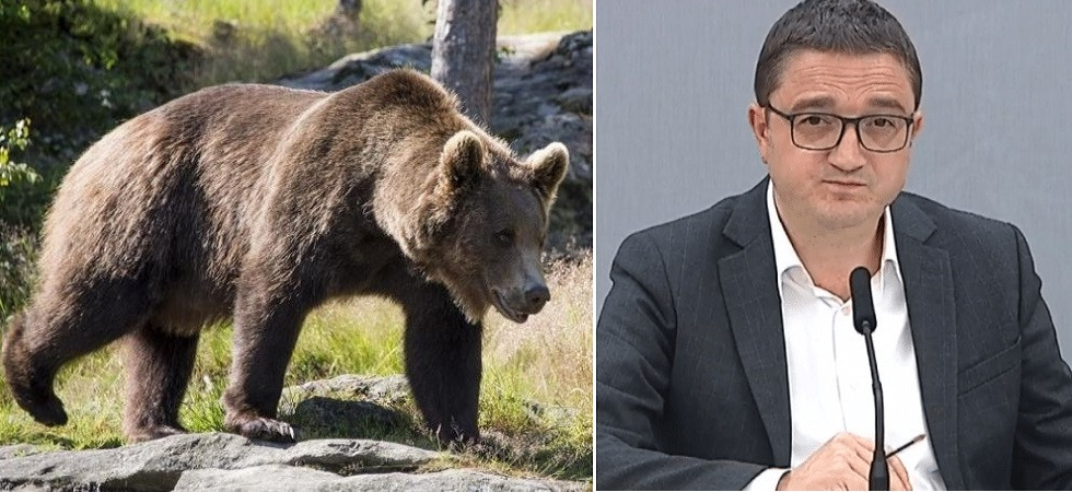 Abbattimento Kj1, la Lndc Animal Protection chiede un risarcimento alla Provincia dai danni patrimoniali a quelli di
