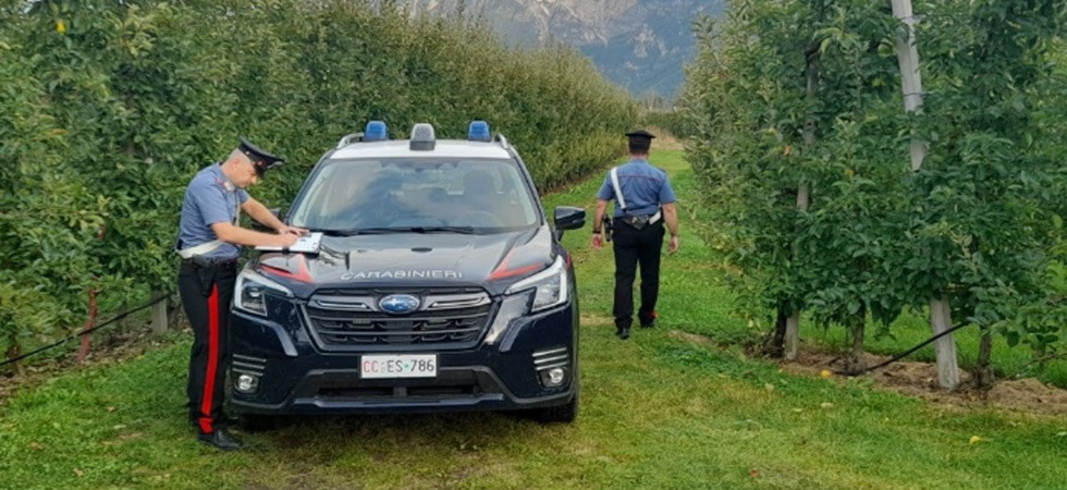 Tre lavoratrici irregolari in un meleto, multa da oltre 8 mila euro per un'azienda