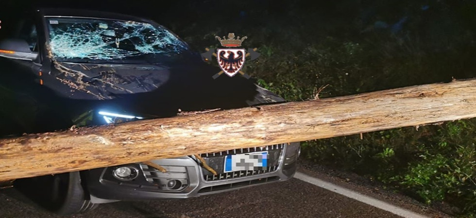 Maltempo, l'albero si schianta sulla strada e l'auto ci finisce addosso: momenti di paura per il guidatore