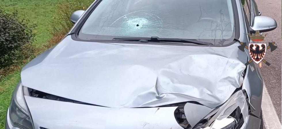 Foto di Federazione dei vigili del fuoco volontari del Trentino Violento scontro auto-cervo all'alba