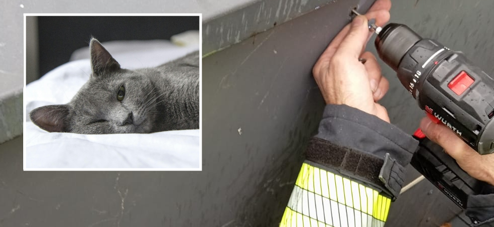 Gattino rimane intrappolato nel rivestimento di un balcone: per salvarlo devono intervenire i vigili del fuoco