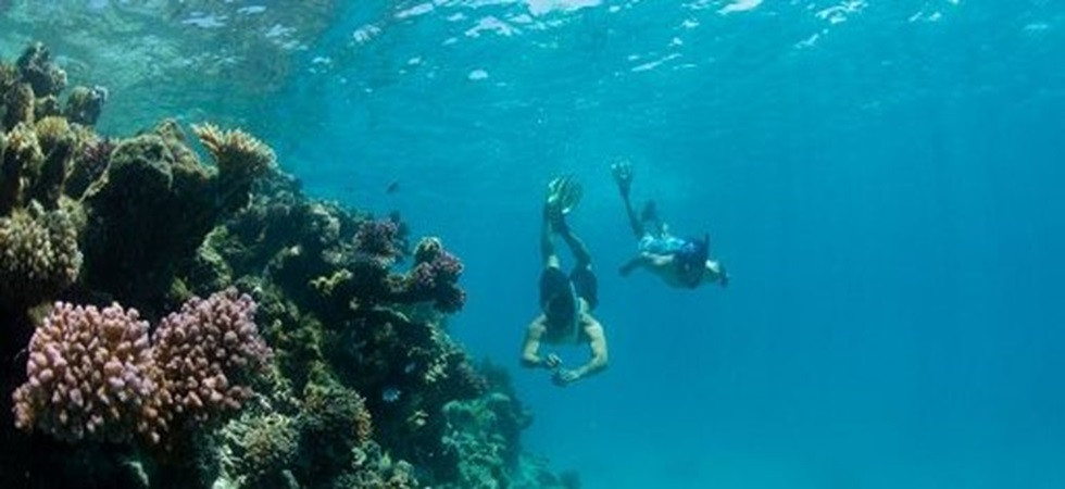 Va nel panico durante un'uscita di snorkeling: turista salvata da un trentino nel Mar Rosso