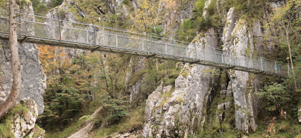 Avvistano un cadavere mentre percorrono il ponte sospeso: macabro rinvenimento in quota