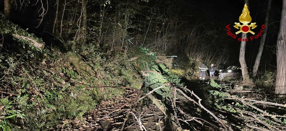 Gli alberi si schiantano sulla strada e bloccano la viabilità, vigili del fuoco in azione