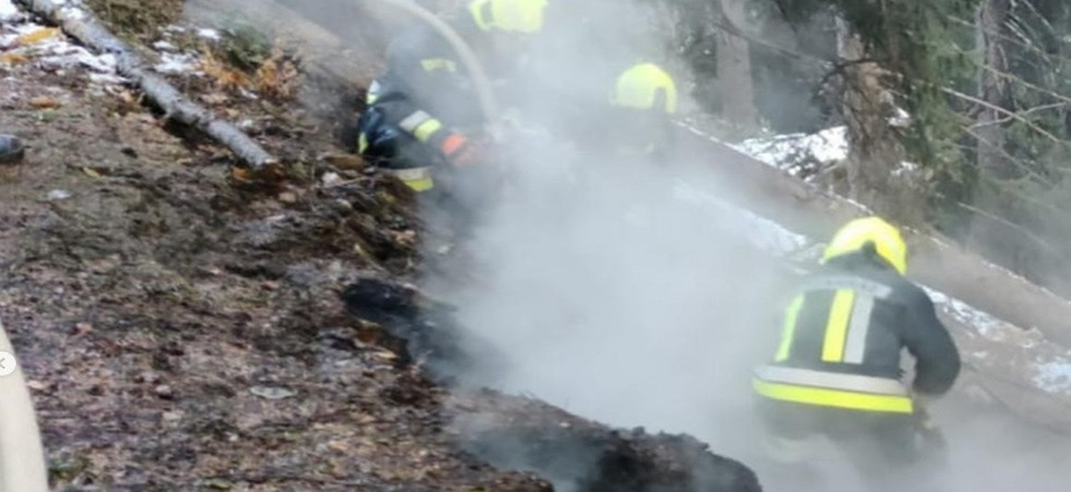 Una colonna di fumo e le fiamme, allarme incendio nel bosco: in azione i vigili del fuoco