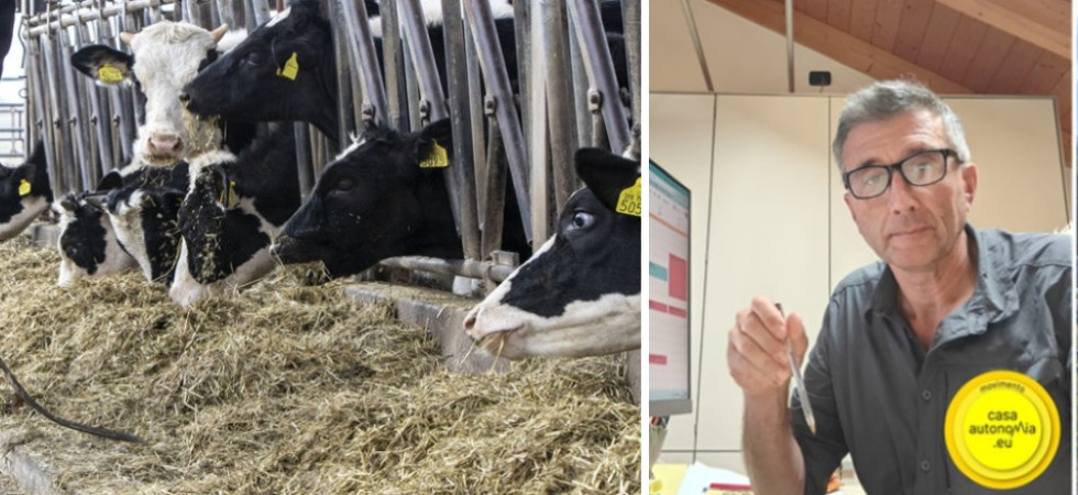"La Provincia non può ignorare il settore lattiero caseario"
