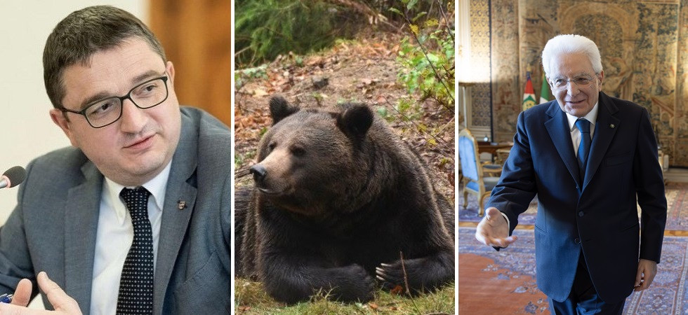 Bearsandothers diffida Fugatti e scrive a Mattarella: Basta misure medioevali contro gli orsi