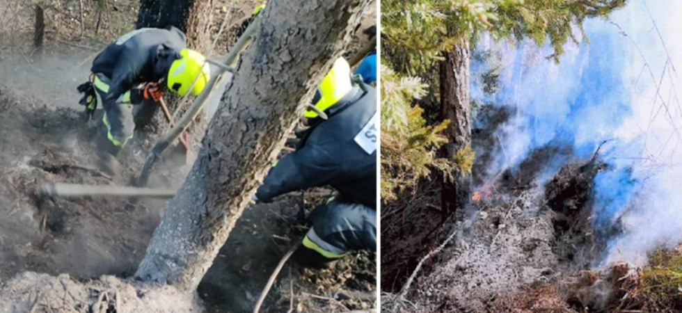 Incendi boschivi, l'appello della Provincia: Massima attenzione alla cenere calda