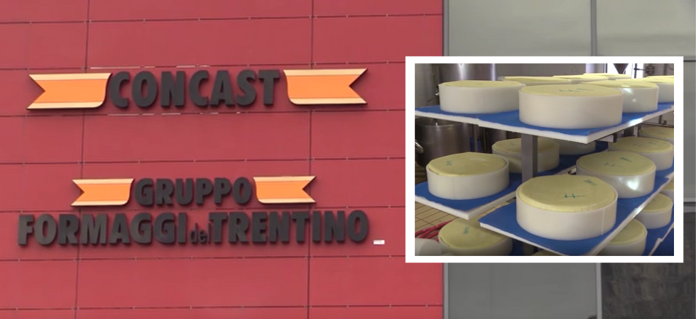 Settore lattiero-caseario trentino, "servono interventi forti e il coinvolgimento della politica provinciale"