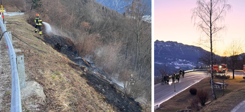 Fiamme e fumo nel bosco lungo la strada, in azione i vigili del fuoco per domare l'incendio