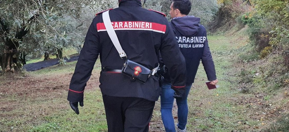 Lavoratori in 'nero', maxi multa da 11mila euro per un'azienda agricola, denunciato il titolare