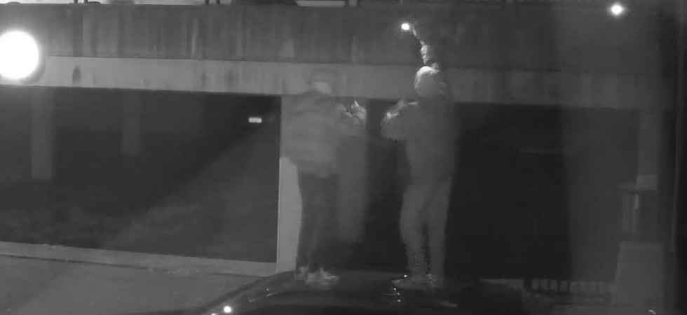 Ballano sul tetto di un'auto per un video sui social (con dito medio rivolto alla telecamera di videosorveglianza)