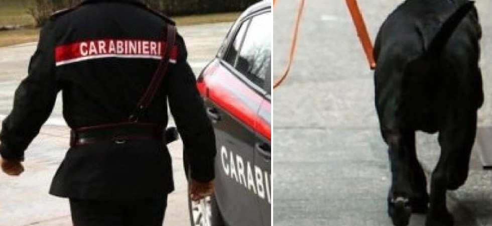 Viene morso da un cane alle mano, poi aggredisce i carabinieri intervenuti sul posto: in arresto un 36enne