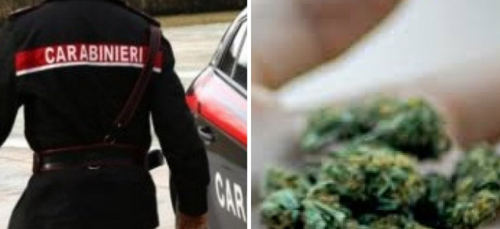 Nasconde marijuana e hashish nella sua stanza: cameriere 19enne scoperto e arrestato dai carabinieri