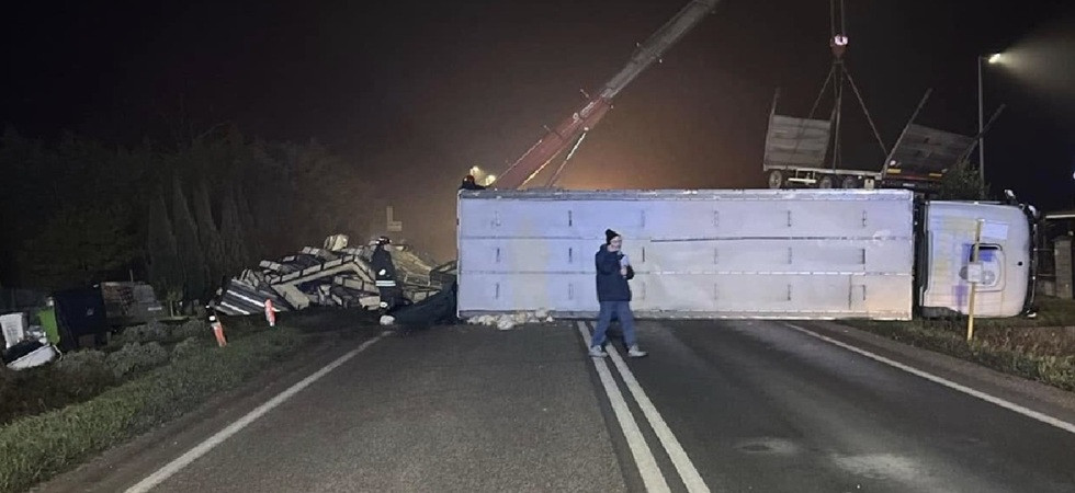 Camion carico di polli esce di strada e si ribalta: decine di animali morti