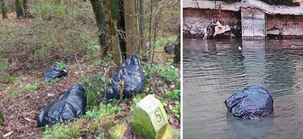 Abbandona più sacchi di immondizia nel bosco: individuata dalla polizia locale