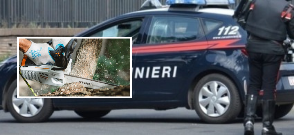 Ruba una motosega da 750 euro, denunciato dai carabinieri