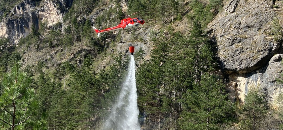 Il fumo si alza dal bosco e divampa un incendio, tre corpi dei vigili del fuoco impegnati a spegnere le fiamme
