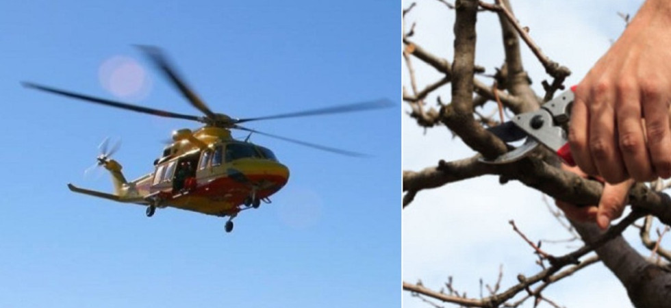 Cade dalla scala mentre sta potando un albero, momenti di paura in paese: un uomo elitrasportato in ospedale