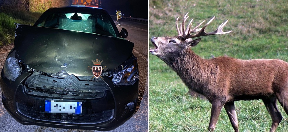 Foto "Federazione dei Corpi Vigili del Fuoco Volontari della Provincia Autonoma di Trento"