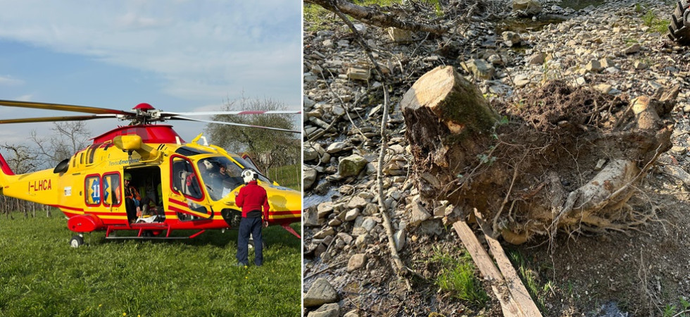Viene travolto dall'albero che sta tagliando e ruzzola fino al ruscello, 45enne trasferito in elicottero all'ospedale